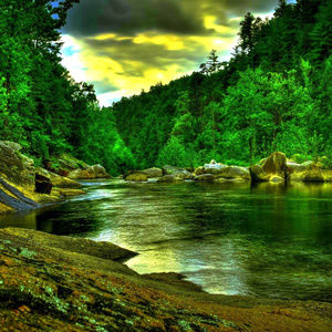 Meet your Posher, Xiao